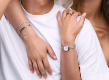 Charger l'image dans la galerie, MONTRE Dame Petite Mini Sterling DANIEL WELLINGTON DW00100746