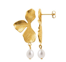 Charger l&#39;image dans la galerie, BOUCLES D&#39;OREILLES Dame demi6feille  perle ACIER DORE
