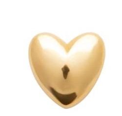 PIERCING COEUR Femme PLAQUE OR ET TIGE TITANE