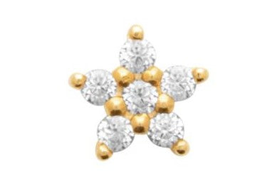 PIERCING D OREILLE Femme PLAQUE OR ET TITANE