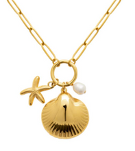 Charger l&#39;image dans la galerie, COLLIER Femme ACIER DORE COQUILLAGE
