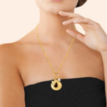 Charger l&#39;image dans la galerie, COLLIER Femme ACIER DORE COQUILLAGE
