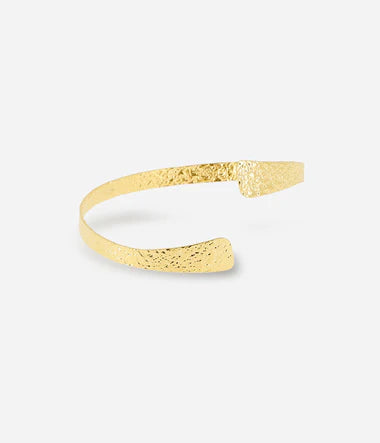 Jonc Alya acier doré ZAG bijoux SBJ19913-01MAT