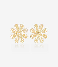 Charger l&#39;image dans la galerie, Boucles d&#39;oreilles Ritsa Acier doré ZAG  SEM25265-01UNI
