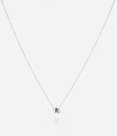 COLLIER Dame acier inoxydable étoile ZAG SNS23138-00WHT