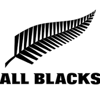 Charger l&#39;image dans la galerie, BRACELET Homme cuir et acier ALL BLACKS 682349
